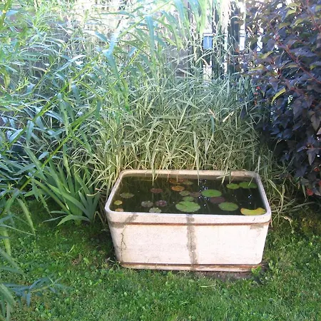 Appartement Stara Posta Hartmanice (Pilsen)