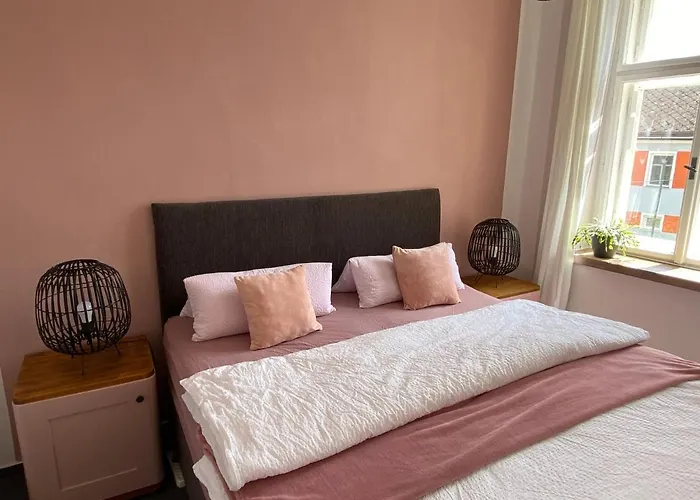 Stará Pošta Appartamento Hartmanice (Pilsen)
